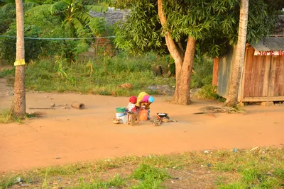 DSC_4308 (Large).JPG